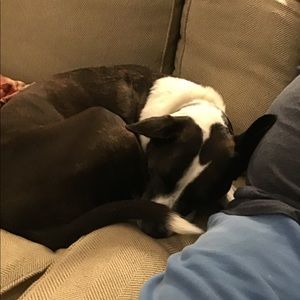 Meet your Posher, Gretchen